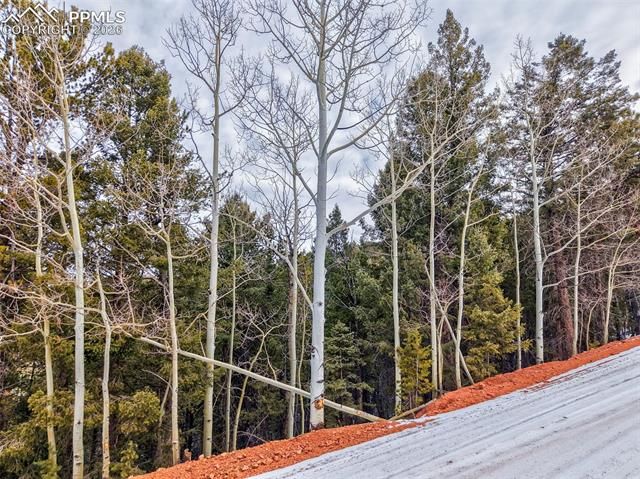 165 Witherite Drive, Divide, CO 80814