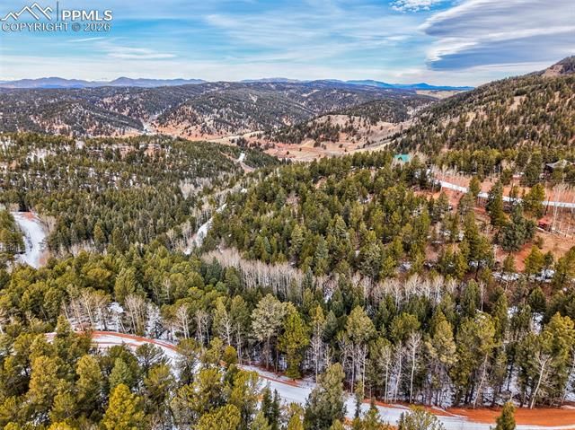 165 Witherite Drive, Divide, CO 80814