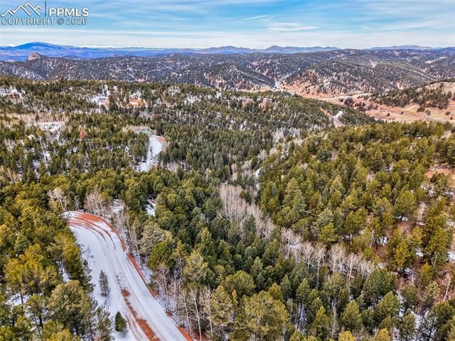 165 Witherite Drive, Divide, CO 80814