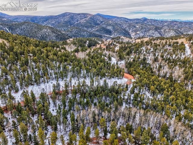 165 Witherite Drive, Divide, CO 80814
