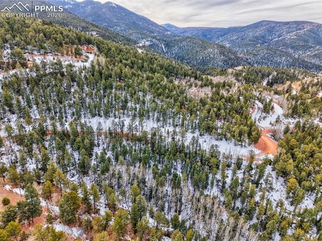 165 Witherite Drive, Divide, CO 80814