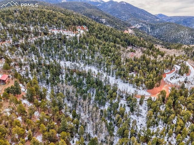 165 Witherite Drive, Divide, CO 80814