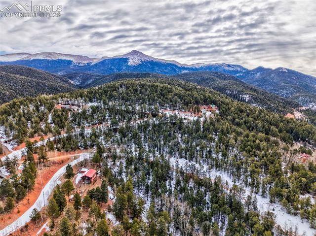 165 Witherite Drive, Divide, CO 80814
