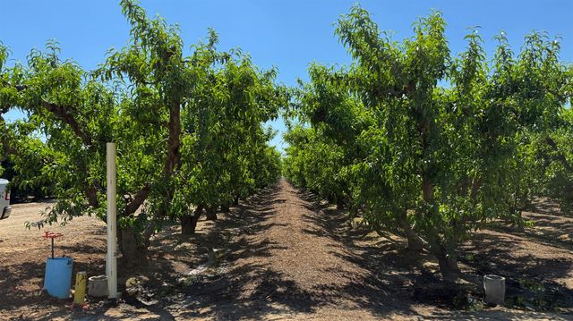 20532 E Parlier Avenue, Reedley, CA 93654