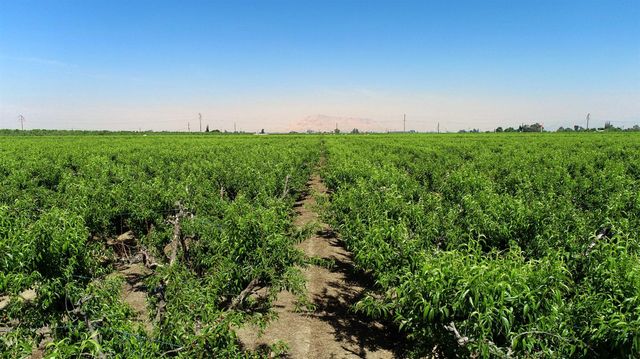 20532 E Parlier Avenue, Reedley, CA 93654