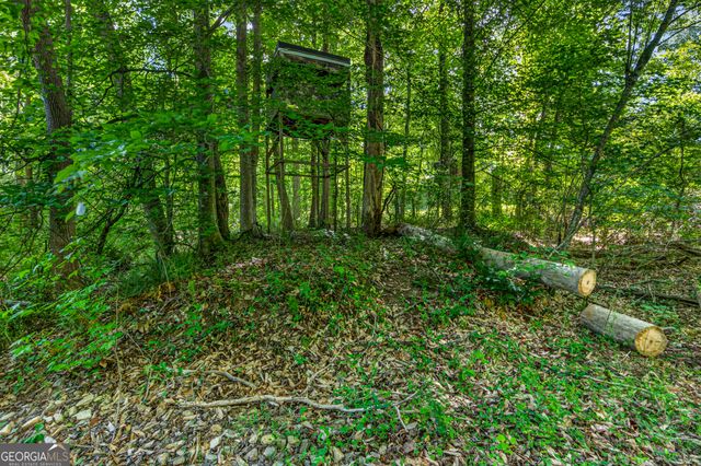 567 Shady Creek Road, Toccoa, GA 30577
