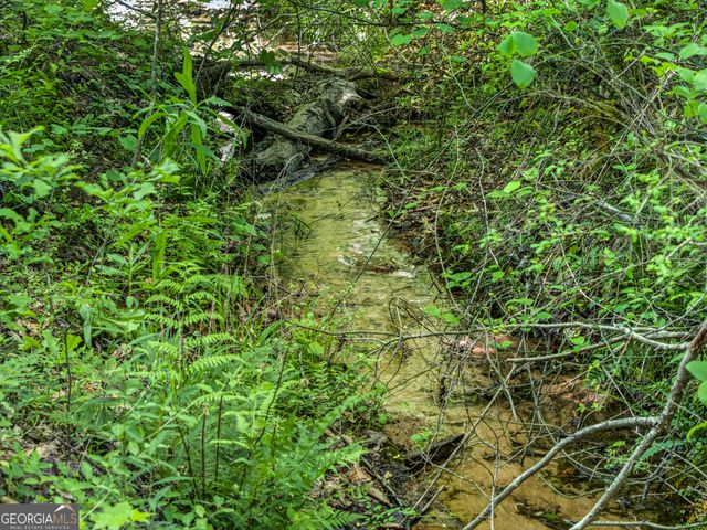 567 Shady Creek Road, Toccoa, GA 30577