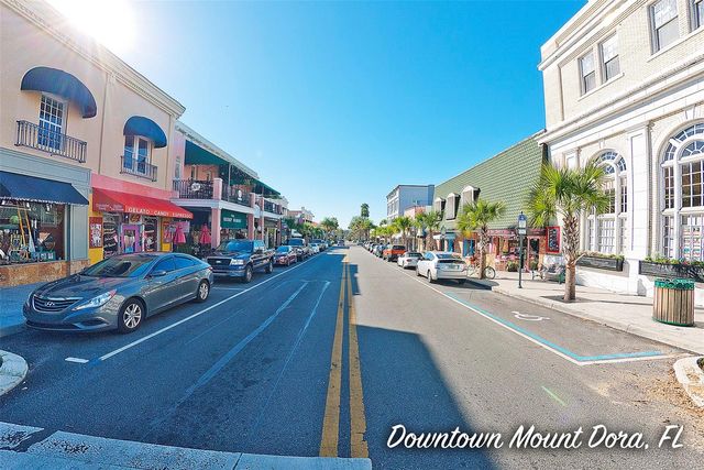 320 N RHODES STREET, Mount Dora, FL 32757