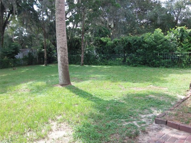 320 N RHODES STREET, Mount Dora, FL 32757