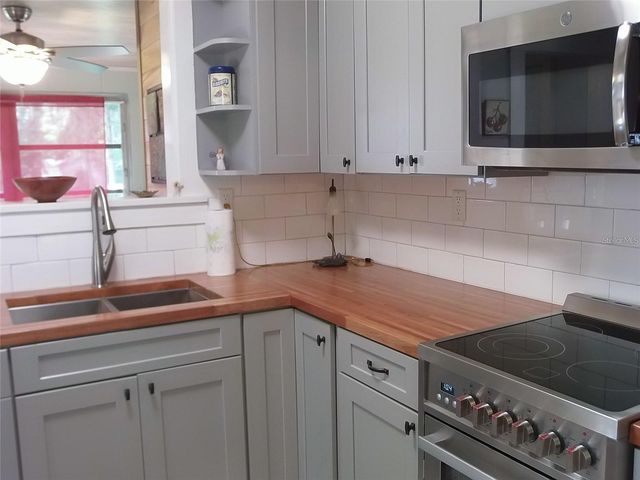 320 N RHODES STREET, Mount Dora, FL 32757