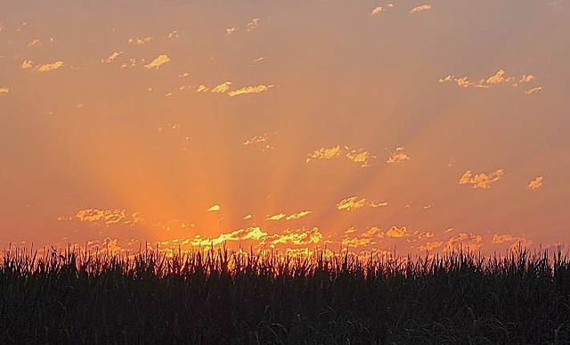 100 Megann Dr, Portland, TN 37148