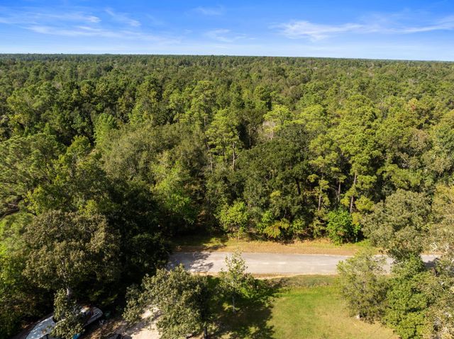 15687 N Park Lane, Porter, TX 77365