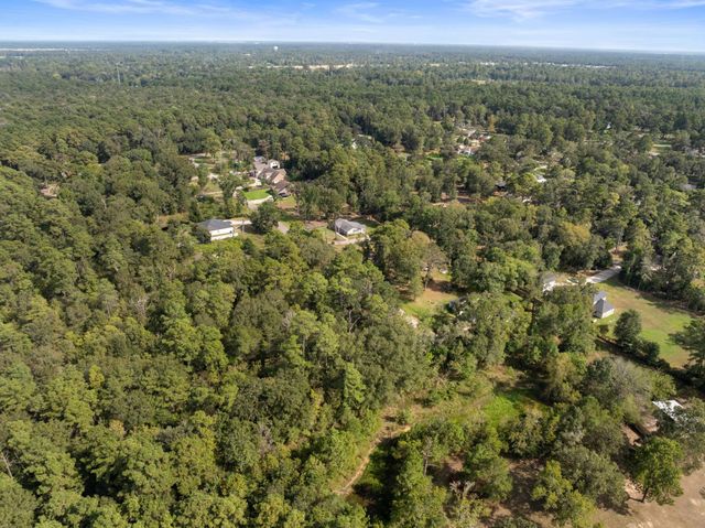 15687 N Park Lane, Porter, TX 77365