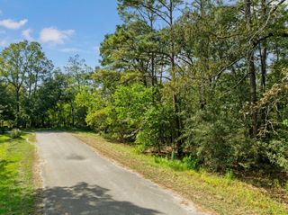 15687 N Park Lane, Porter, TX 77365