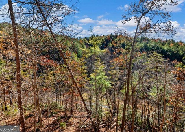150 Alte Bruecke Strasse, Helen, GA 30545