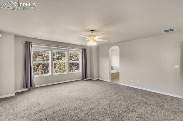 19513 Lindenmere Drive, Monument, CO 80132