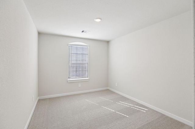 17207 Remington Meadows Street, Waller, TX 77484