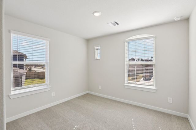 17207 Remington Meadows Street, Waller, TX 77484