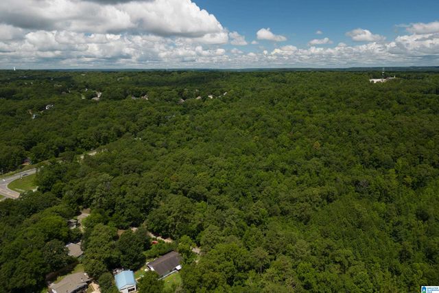 0 HIGHWAY 52, Helena, AL 35080