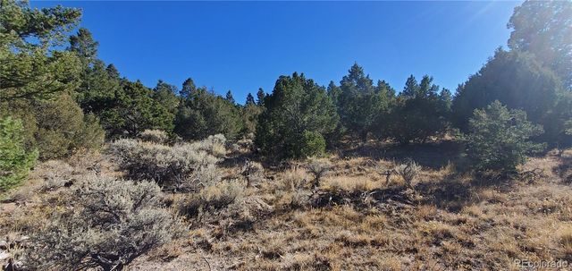 5486 Balleroy Road, San Luis, CO 81152