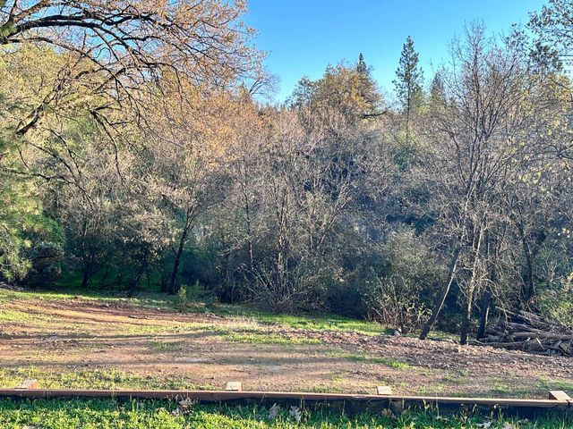 578 Greenwood Dr, Meadow Vista, CA 95722