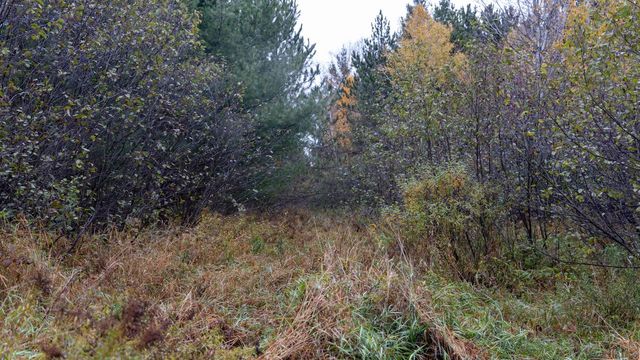 W12103 Highland ROAD, Antigo, WI 54409