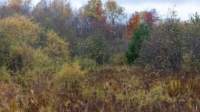 W12103 Highland ROAD, Antigo, WI 54409