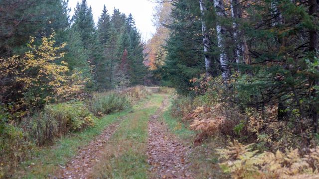 W12103 Highland ROAD, Antigo, WI 54409