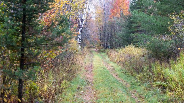 W12103 Highland ROAD, Antigo, WI 54409