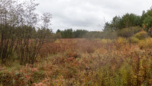 W12103 Highland ROAD, Antigo, WI 54409