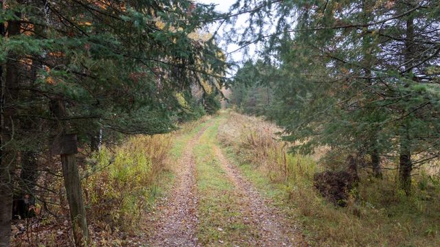 W12103 Highland ROAD, Antigo, WI 54409