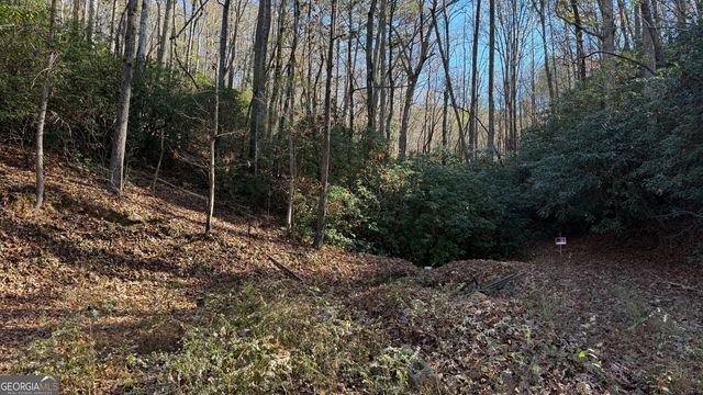 0 Goshen Road, Clarkesville, GA 30523