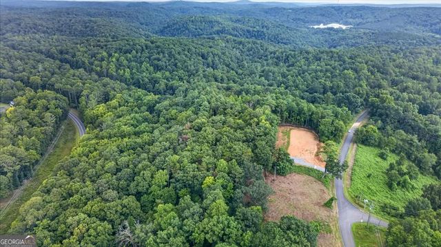 1395 Cowart Mountain Road, Jasper, GA 30143