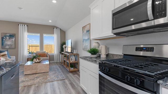 1013 Paddlefish Lane, Alvin, TX 77511
