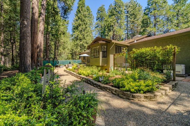 26725 Sugar Pine Dr, Pioneer, CA 95666