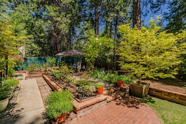 26725 Sugar Pine Dr, Pioneer, CA 95666