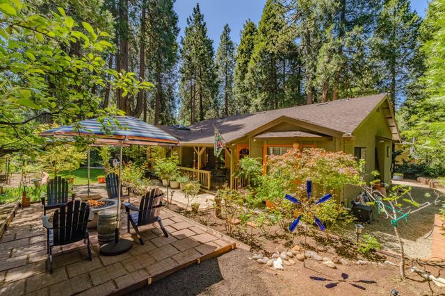 26725 Sugar Pine Dr, Pioneer, CA 95666