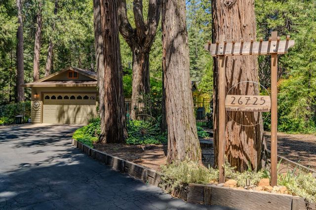 26725 Sugar Pine Dr, Pioneer, CA 95666