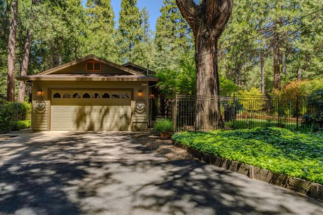 26725 Sugar Pine Dr, Pioneer, CA 95666