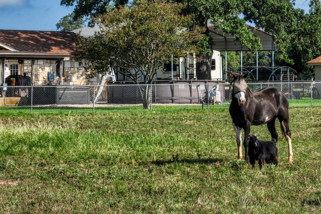 603 Oak Ridge DR, Bandera, TX 78003