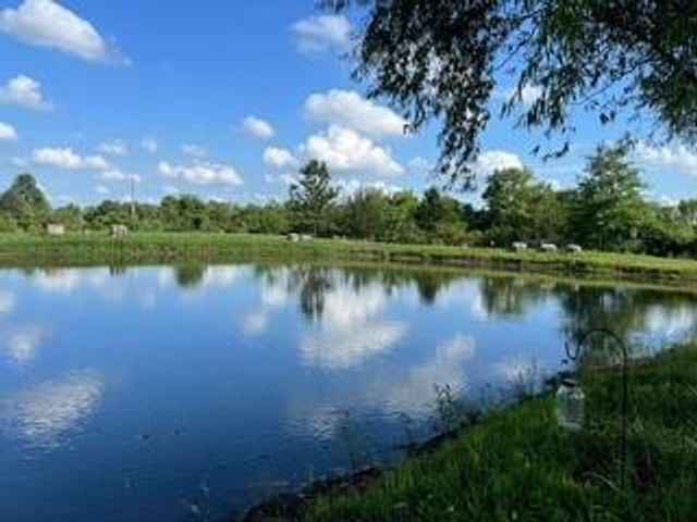 31375 Metcalf Road, Louisburg, KS 66053