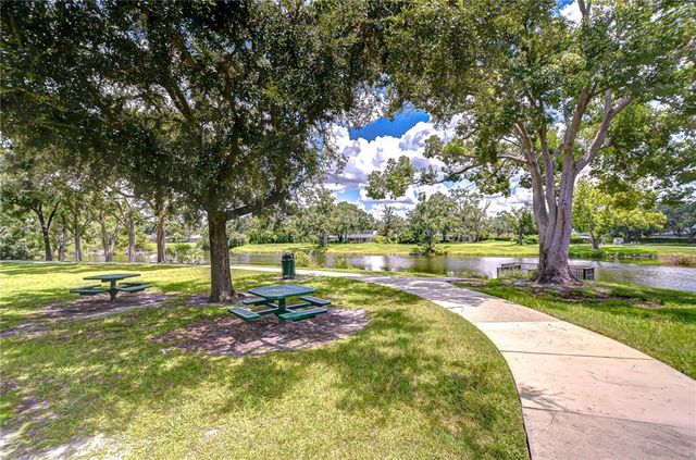 13522 AVISTA DRIVE, Tampa, FL 33624