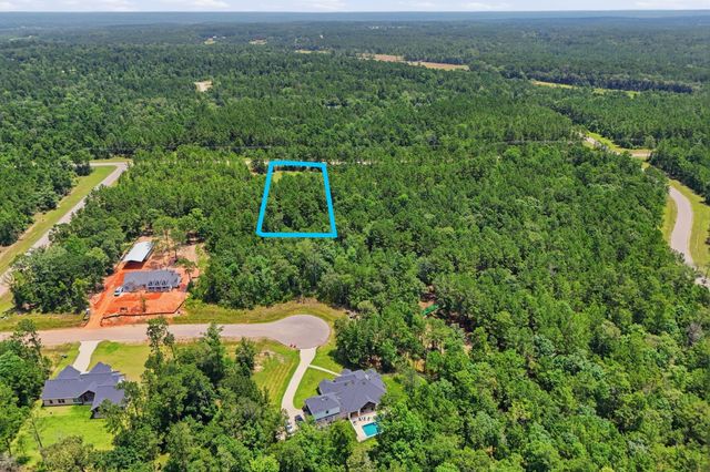 54 Coyote Run, New Waverly, TX 77358