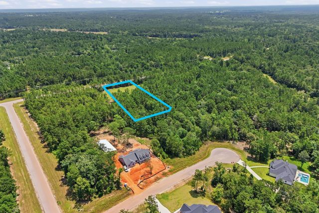 54 Coyote Run, New Waverly, TX 77358