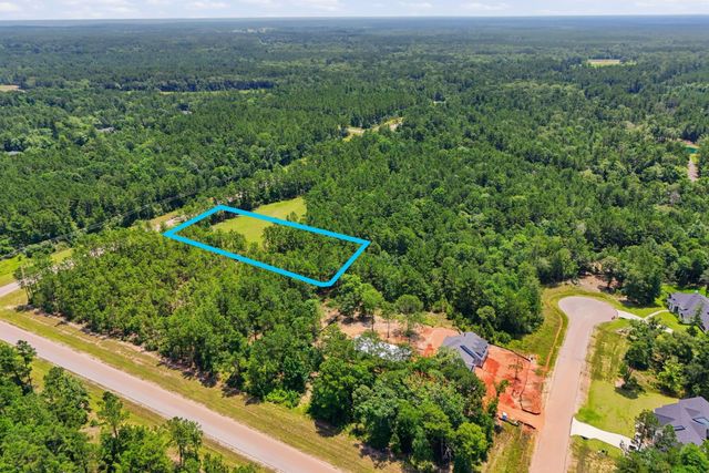 54 Coyote Run, New Waverly, TX 77358