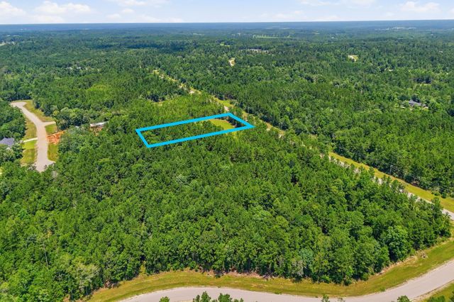 54 Coyote Run, New Waverly, TX 77358
