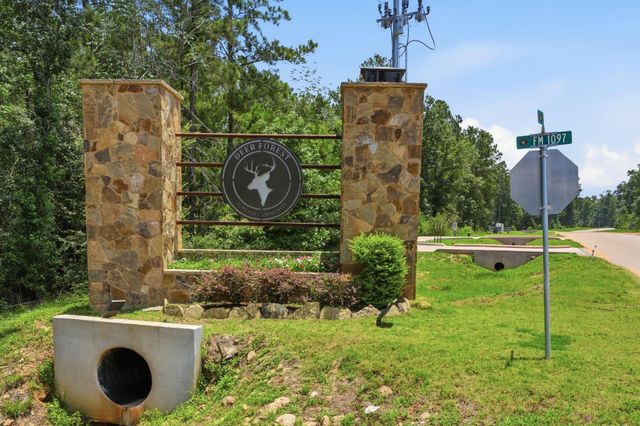 54 Coyote Run, New Waverly, TX 77358