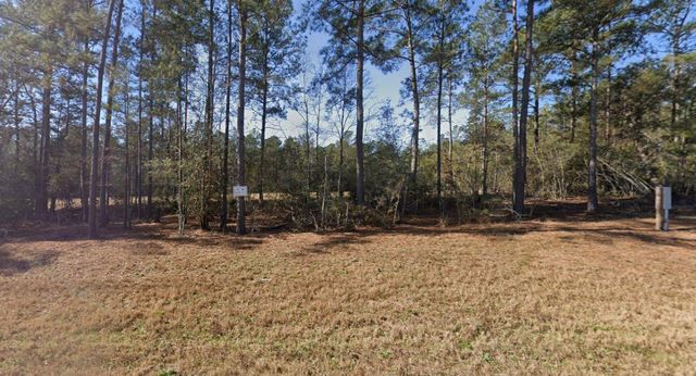 54 Coyote Run, New Waverly, TX 77358