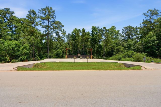 54 Coyote Run, New Waverly, TX 77358