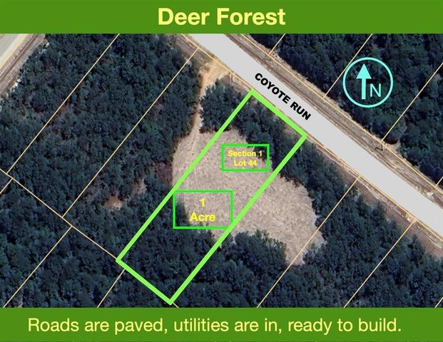 54 Coyote Run, New Waverly, TX 77358